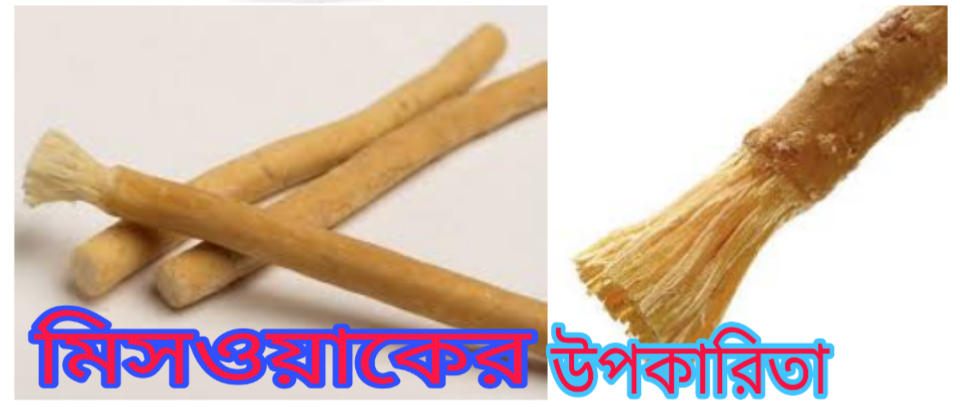 মিসওয়াকের উপকারীতা