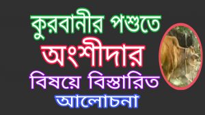 কুরবানীর পশুতে অংশীদার বিষয়ে বিস্তারিত আলোচনা
