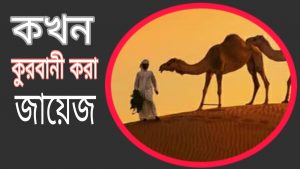 কখন কুরবানী করা জায়েজ