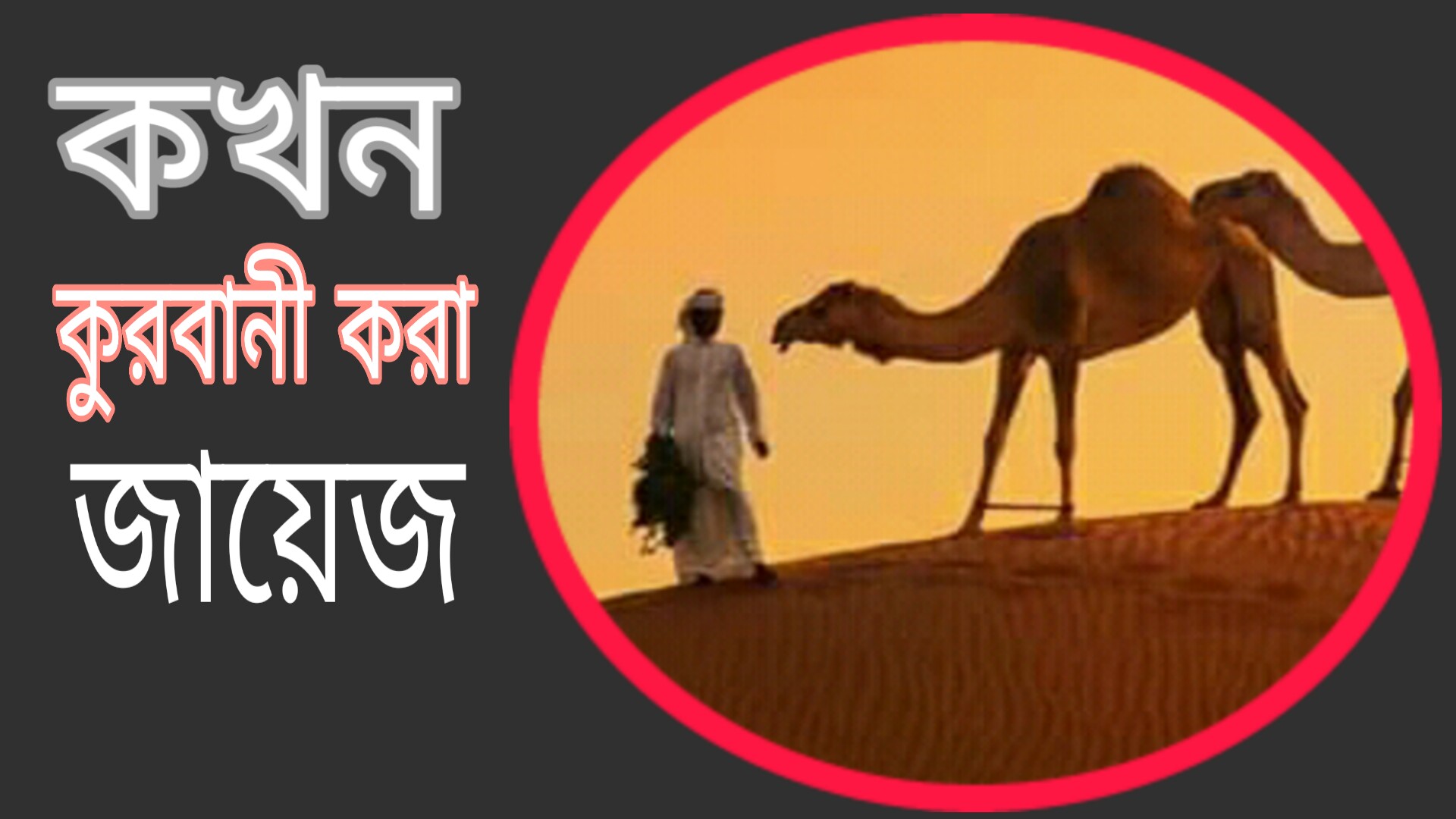 কখন কুরবানী করা জায়েজ
