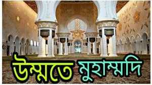 কেমন হবে উম্মতে মুহাম্মদী সা