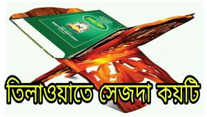 কোরআন শরীফে সেজদা কয়টি ও কোন কোন পারায়