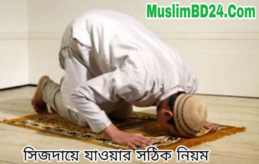 সিজদায়ে যাওয়ার সঠিক নিয়ম