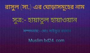 রাসুল(সা.)-এর ঘোড়া ঘোড়াসমূ ঘোড়াসমূহের নাম