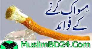 আধুনিক বিজ্ঞানের দৃষ্টিতে রাসুল সাঃ এর সুন্নত মিসওয়াক