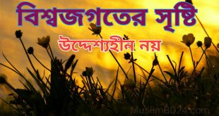 বিশ্বজগতের সৃষ্টি উদ্দেশ্যহীন নয়