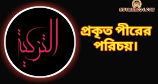 প্রকৃত পীরের পরিচয়