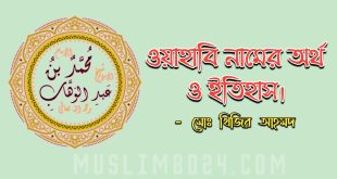 ওহাবী নামের অর্থ ও ওহাবী বলার ইতিহাস