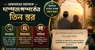কোরআনের আলোকে দাম্পত্য সম্পর্কের তিন স্তর: যাওজাহ, ইমরাআহ ও সাহিবাহ